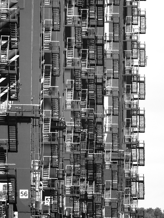 All Ladders - No Snakes